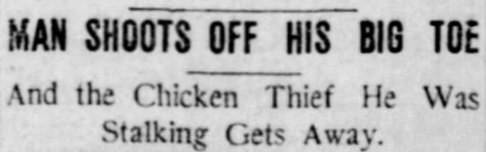 chicken thief