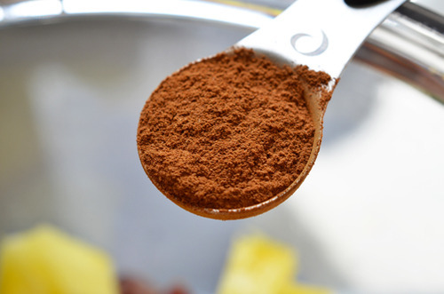 A spoonful of ground cinnamon being placed in a food processor to make Tropical Paleo Granola
