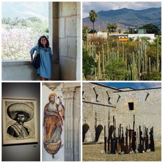 Things to do in Oaxaca City: visit the museums
