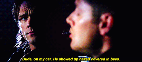 castiel naked covered in bees