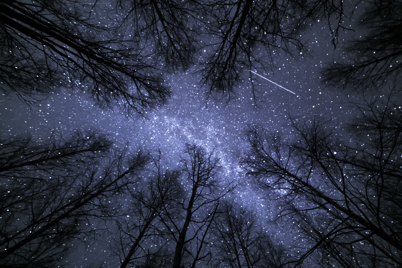 Image result for Stargazing tumblr