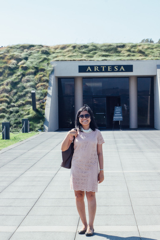Artesa winery, Napa wineries for first time visitors