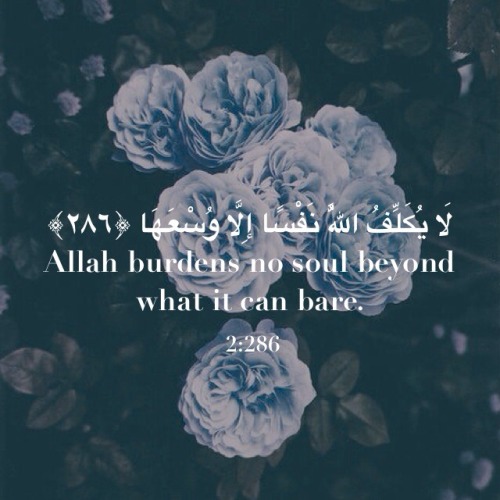 Quran Quotes Tumblr