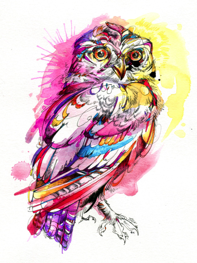 Finished a splash-painting of a Northern Pygmy Owl this week. Hope you enjoy! :) India ink, watercolor paint, and markers.