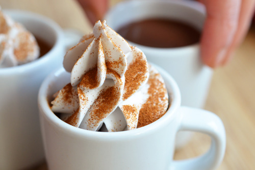 Mexican chocolate pots de crème in espresso cups topped with coconut whipped cream and cinnamon.