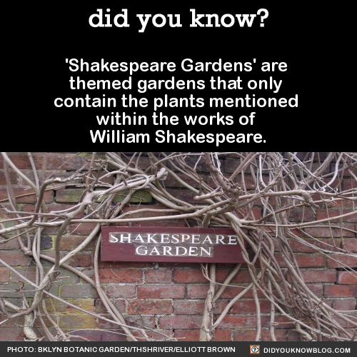 did-you-kno-shakespeare-gardens-are-themed