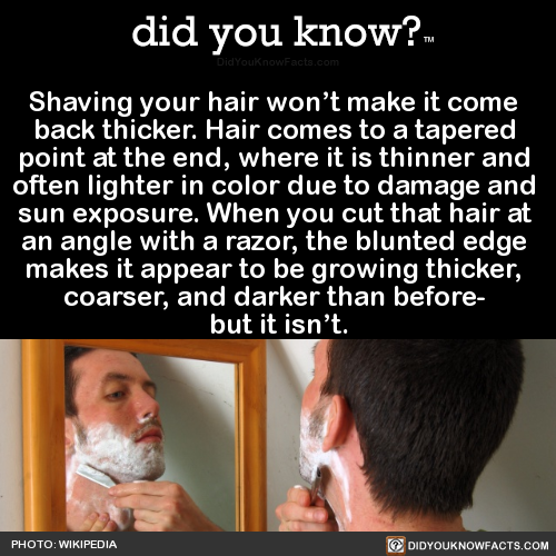 shaving-your-hair-wont-make-it-come-back - did you know?