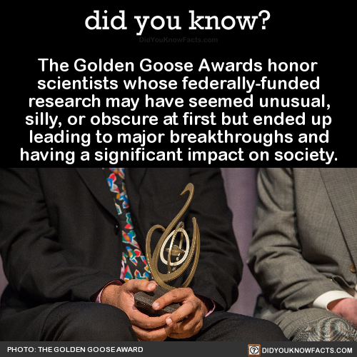 the-golden-goose-awards-honor-scientists-whose