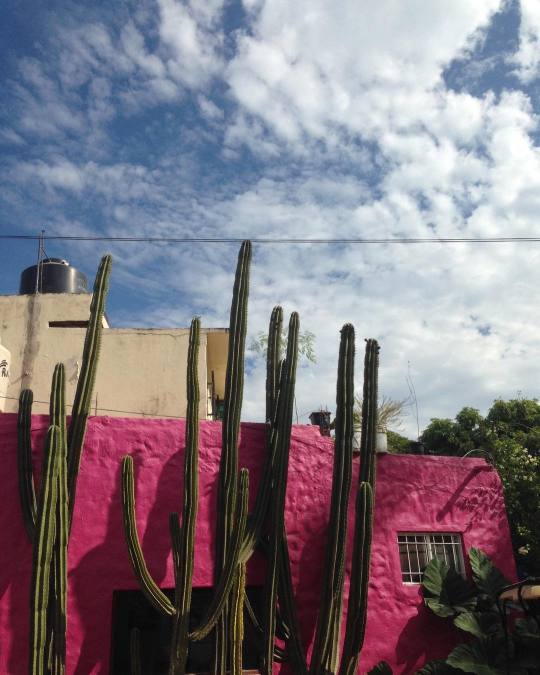 Pink building, Sayulita, Mexico