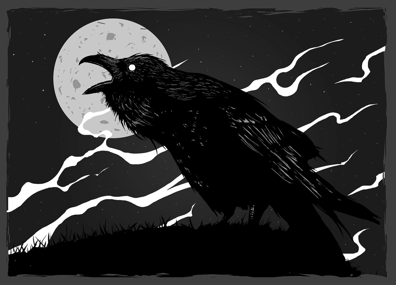 “The Raven” - August 2014 © Arnaud Gomet 2014. Tumblr / Behance / Facebook