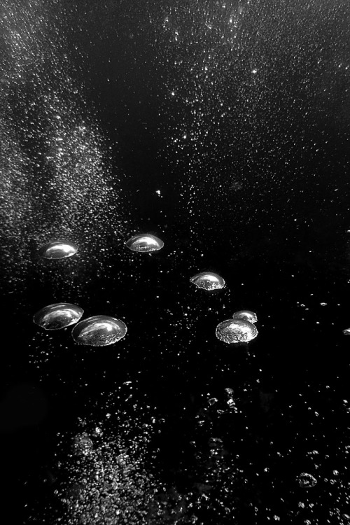 deep sea abyss | Tumblr