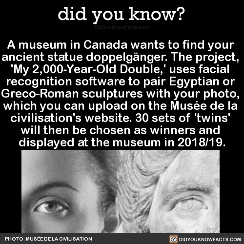a-museum-in-canada-wants-to-find-your-ancient