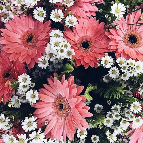 white flower bouquet | Tumblr