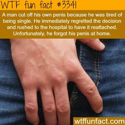 Fun Facts About Penis 102
