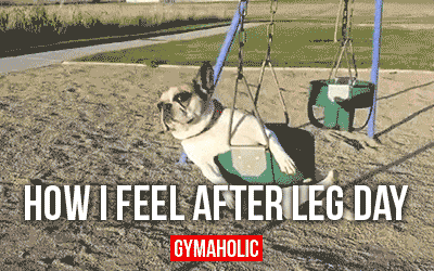 How I Feel After Leg Day