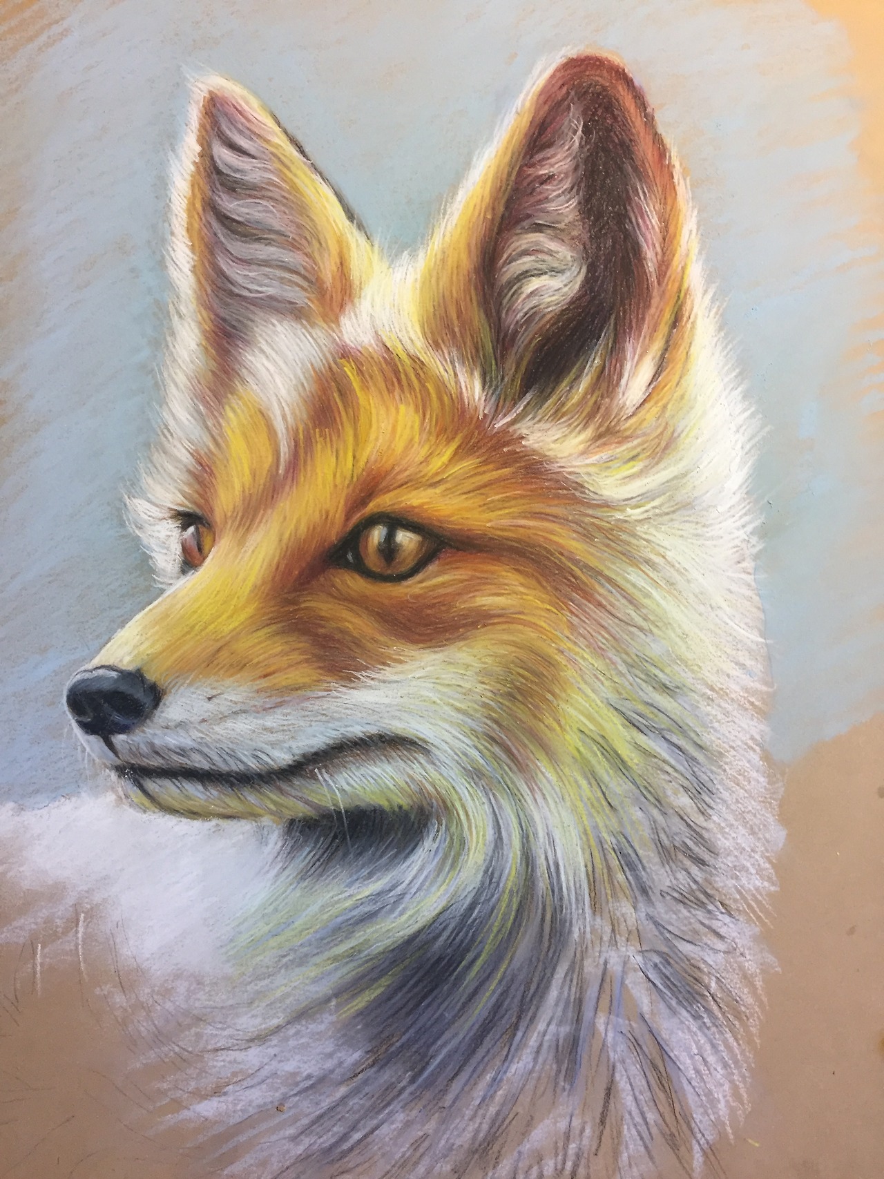 ##foxdrawing #pastels — Immediately post your art to a topic and get feedback. Join our new community, EatSleepDraw Studio, today!