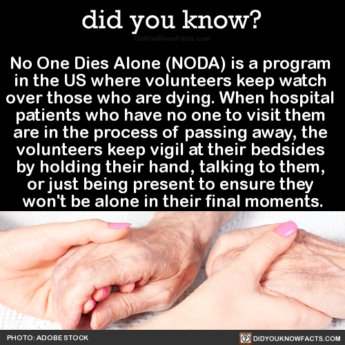 no-one-dies-alone-noda-is-a-program-in-the-us
