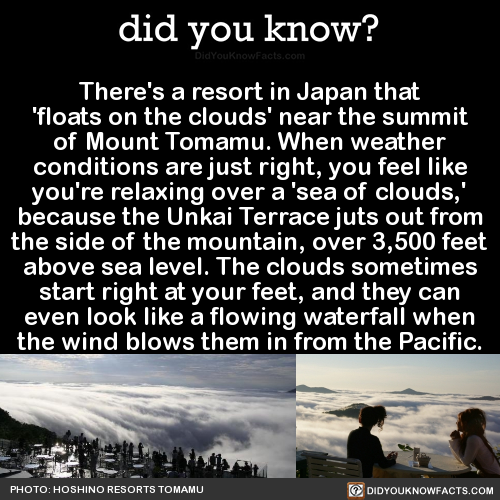 theres-a-resort-in-japan-that-floats-on-the