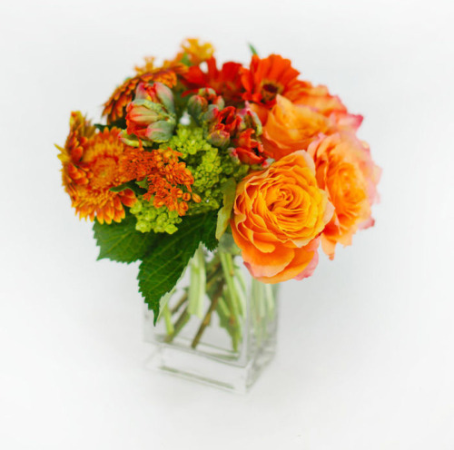 orange and green flowers in clear vase