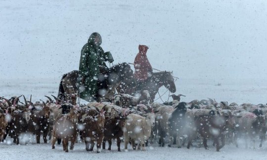 Archaeology sheds light on Mongolia’s uncertain nomadic future