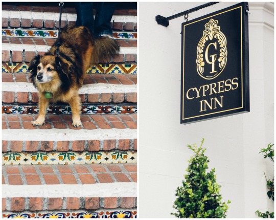 Cypress Inn, Carmel is a dog friendly hotel, dog friendly hotels in Carmel