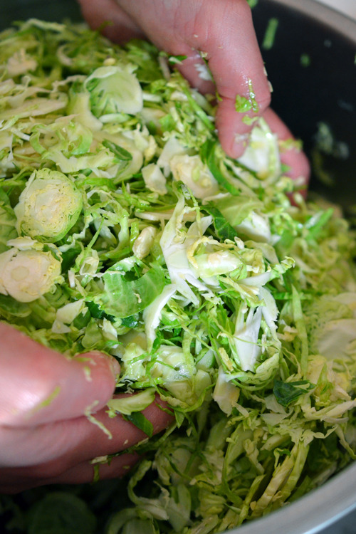 Tossing the shredded Brussels Sprouts and ghee with clean hands. 