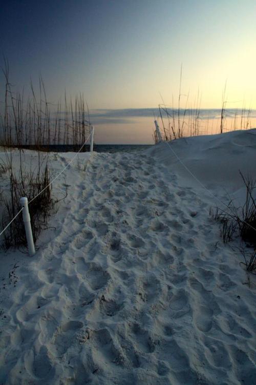 black and white beach on Tumblr