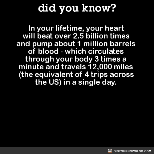 did-you-kno-in-your-lifetime-your-heart-will