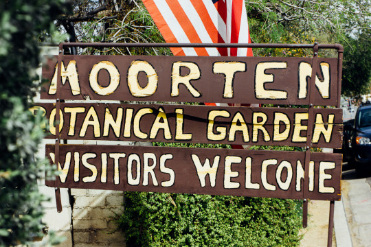 Palm Springs weekend getaway best things to do: Moorten Botanical Garden