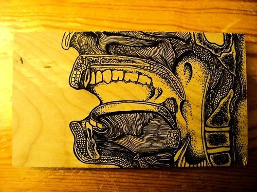 Anatomy of the Mouth, on wood. (pen) http://jacqueeline.tumblr.com/ http://shakethatt.tumblr.com/