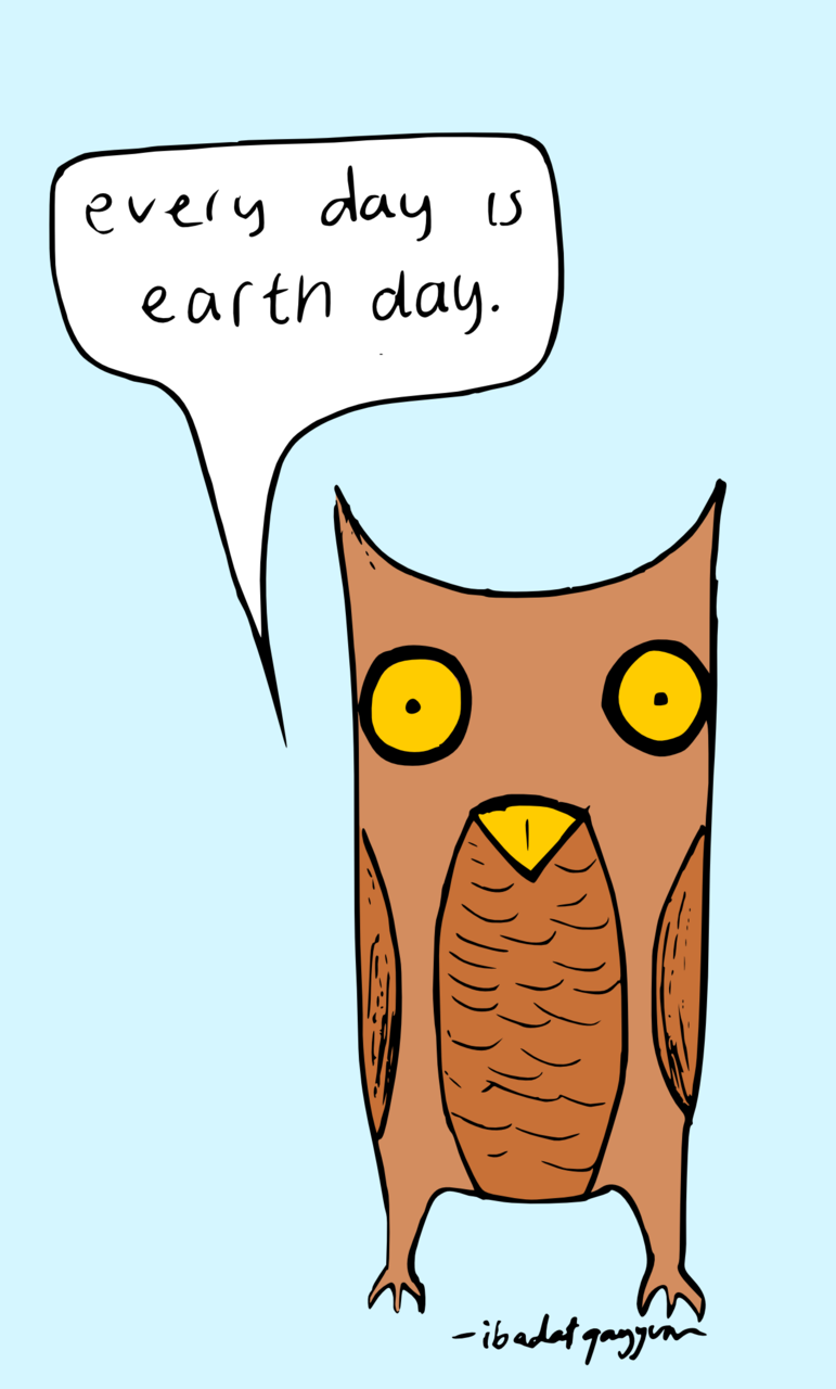 The Wise Owl Has Spoken.
