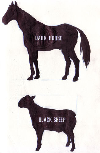 Dark Horse, Black Sheep. Nur Abbas. Onlylight.com