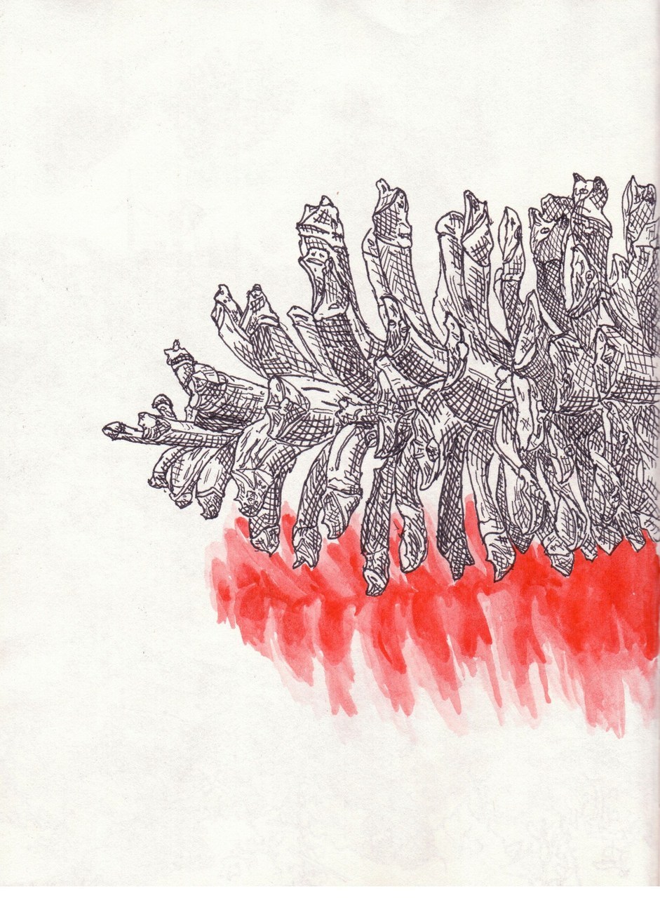 A pine cone drawn in my sketchbook i decided do do the shadow with this bright red it looks like a murder or something like that (a little silly) 24/9/2010 - 14 years old