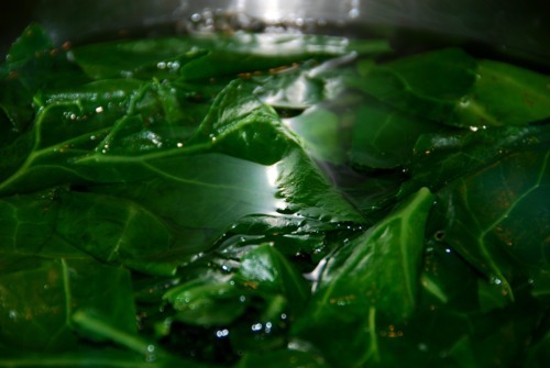 Collard greens floating at the top of a deep pot filled with salted water.