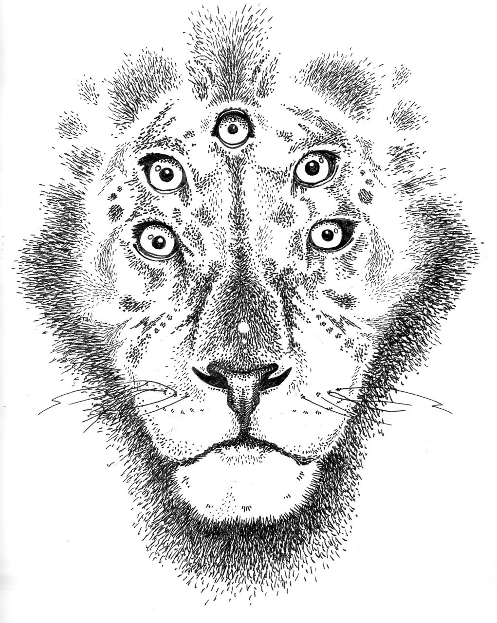 5 eyed lion