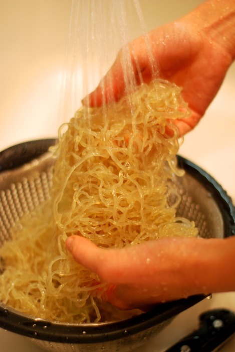 Someone rinsing kelp noodles in a sink.