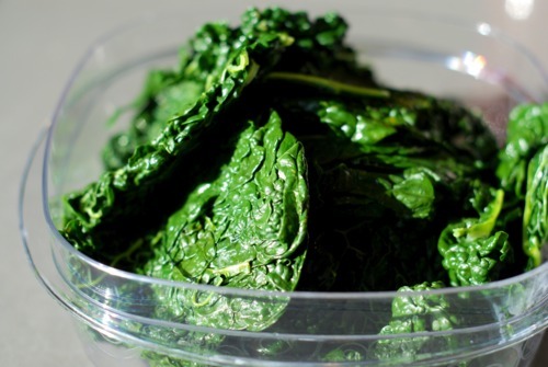 Blanched lacinato kale in a plastic Tupperware container.