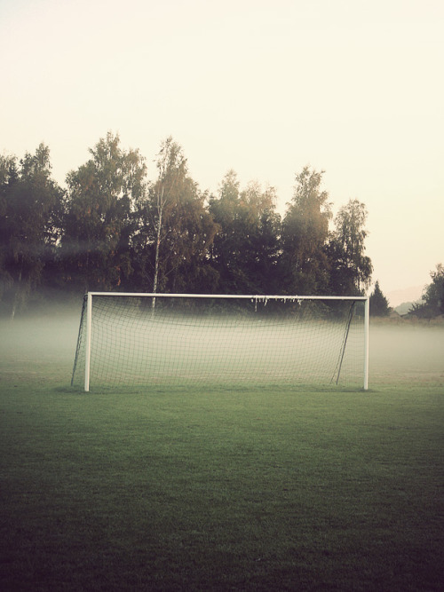 Soccer field on Tumblr