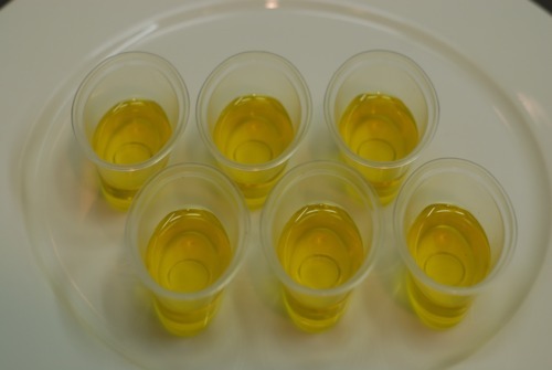 Frozen extra virgin olive oil in small plastic cups.