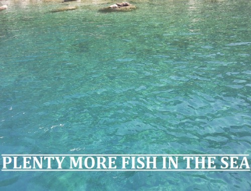 plenty more fish in the sea on Tumblr