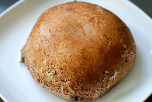 A shallow "X" is carved onto the top of a portobello mushroom cap.
