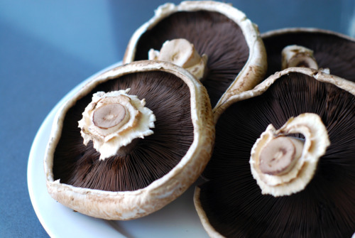 A plate filled with portobello mushrooms.