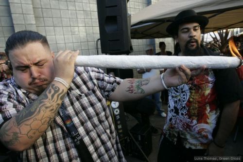 Image result for biggest joint
