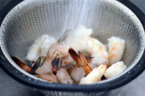 Someone defrosting frozen shrimp in a colander by running cold water over them.