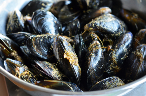 A bowl of rinsed mussels.