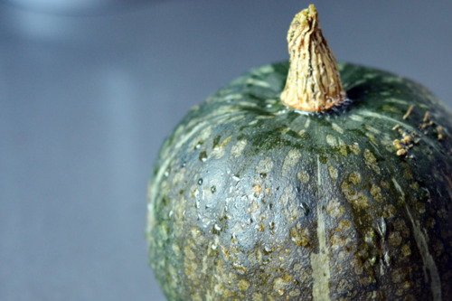 A side shot of a green kabocha squash on a kitchen counter. 