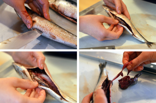 Step by step pictures of the process of gutting sardines.