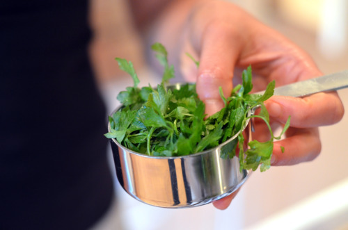 Someone holding a measuring cup with parsley.