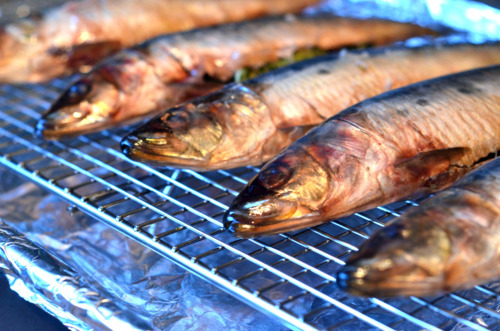 A row of herb-stuffed sardines on a wire rack ready to be broiled.