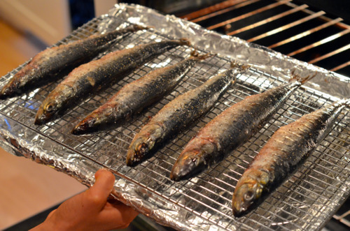 Someone placing the tray of herb-stuffed sardines into the oven to be broiled.